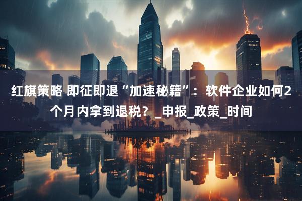红旗策略 即征即退“加速秘籍”：软件企业如何2个月内拿到退税？_申报_政策_时间