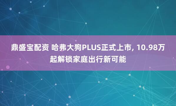 鼎盛宝配资 哈弗大狗PLUS正式上市, 10.98万起解锁家庭出行新可能