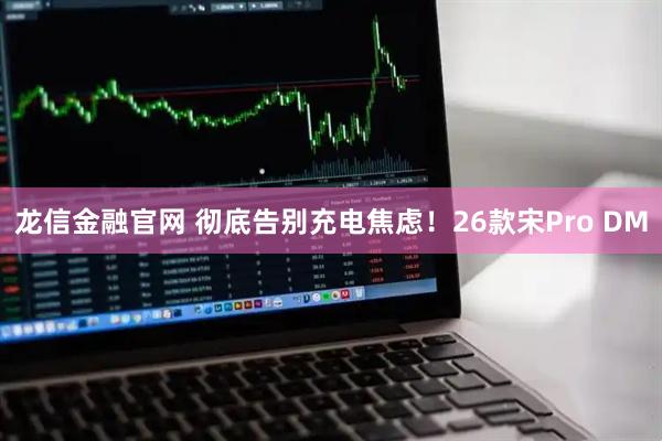 龙信金融官网 彻底告别充电焦虑！26款宋Pro DM